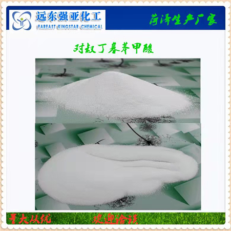 对叔丁基苯甲酸批发
