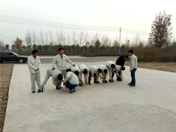 公司风采